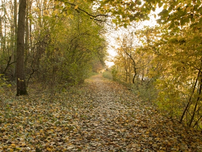 Bouwen aan Biddinghuizen